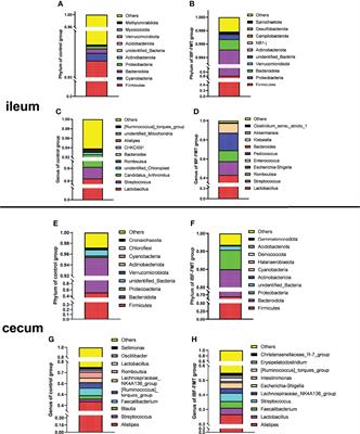 Fecal Microbiota Transplantation Reshapes the Physiological Function of the Intestine in Antibiotic-Treated Specific Pathogen-Free Birds